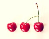 Cherries Food Photography 5x7 Fine Art Photo Row of Cherries Red and Pink Fruit Minimalist Kitchen Decor