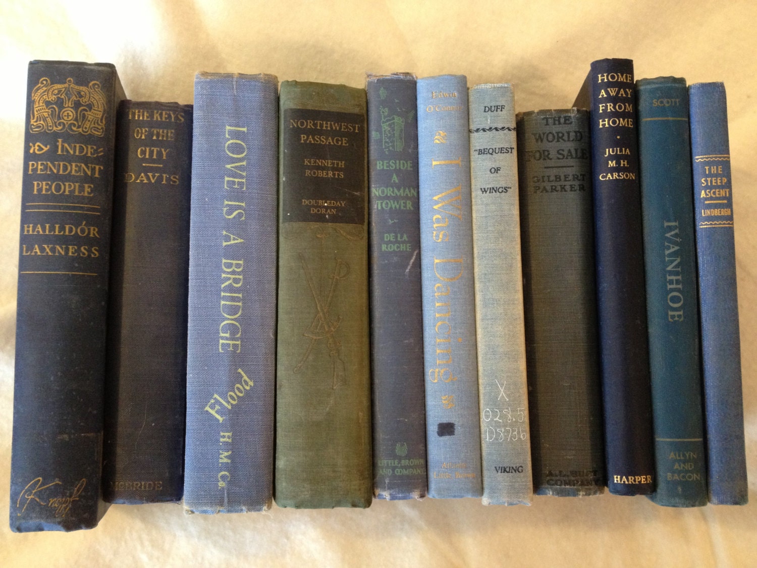 Blue Vintage Books