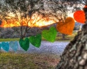 Rainbow Felt Heart Garland