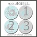 Set of 20 Monthly Onesie Stickers Blue Elephants and Gray Chevron Stripes Photo Props for Baby Boys - Newborn through One Year