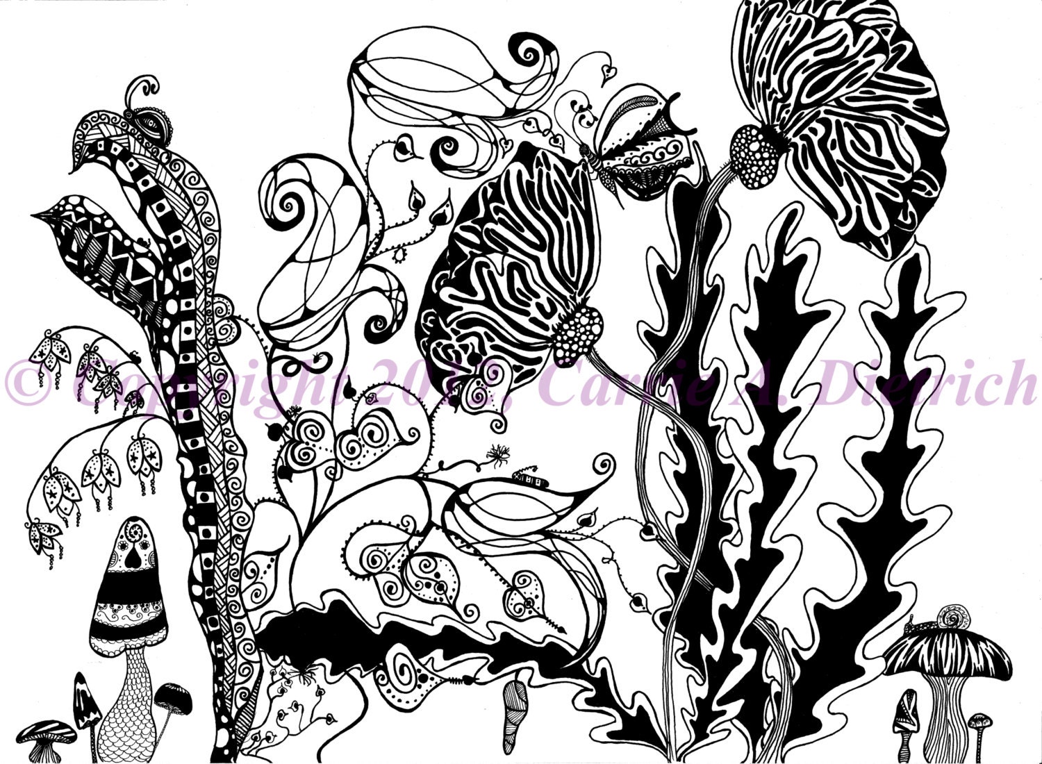 Black and White Art Pen and Ink Flower Wild Flower Design Illustration Signed 5 x 7 Print Home Decor Design Drawing