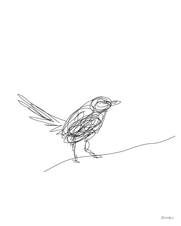 Bird Illustrated Line - Digital Drawing