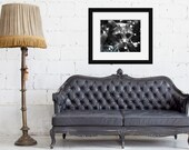 Black and White Photograph, Sparkling Bokeh, Cat Photo, Modern Home Decor, Animal Wall Art, black, gray, white, feline
