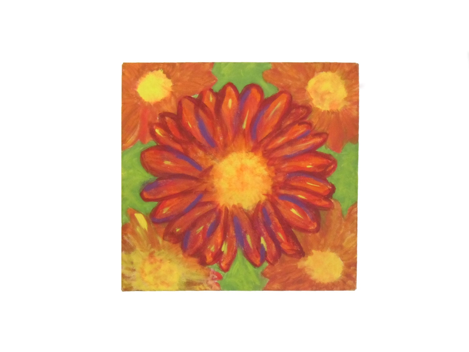 Vivid Flower Pictures