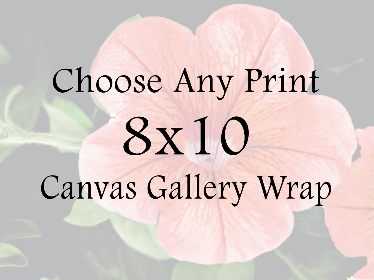 Decor - Choose Any Print - 8x10 Canvas Gallery Wrap - Photography, Home Decor, Typography, Quotes, Nature Photography, Black and White, fPOE