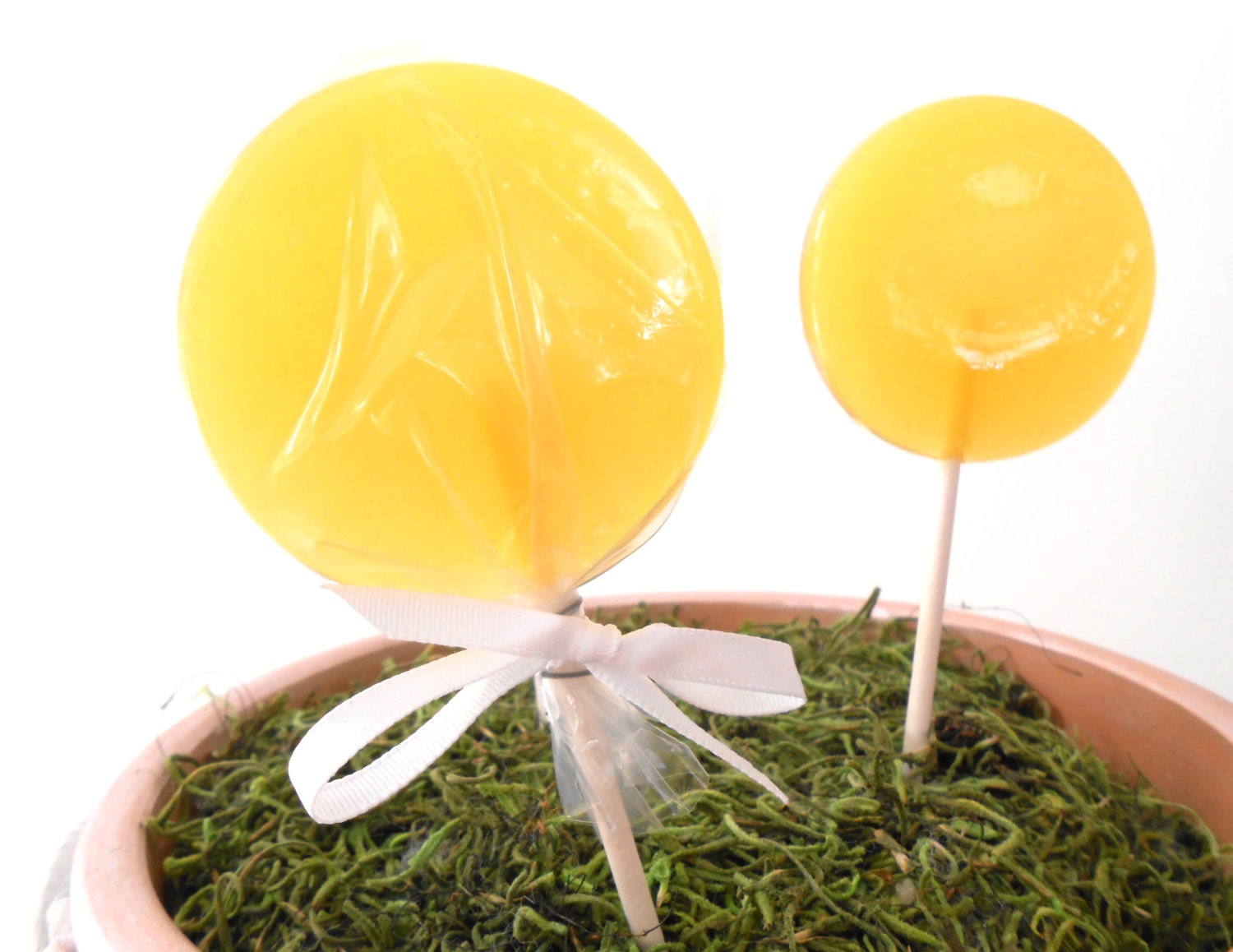 Honeysuckle Gourmet Lollipops - Set of 7 - LARGE 2.5 Inch - Spring Summer Party Favors