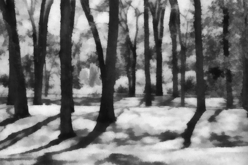 Into The Forest