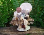 Crystal Garden Positive EnergyCenter