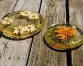 Vintage Floral Lucite Trivets, 1970s