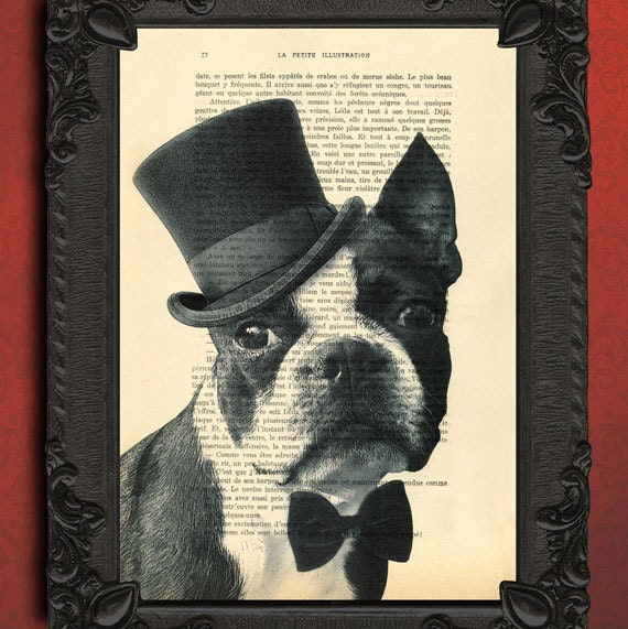 Boston Terrier in Boater Art Giclee Print Illustration Boston Terrier Print Bulldog Art wall art wall decor Wall Hanging