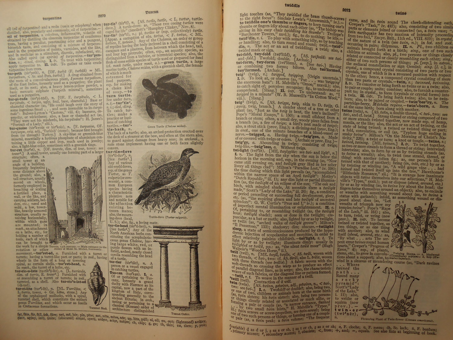 Vintage Dictionary Pages- Paper Ephemera, Scrapbooking, Crafting, Art Journals, Mixed Media, Home Decor