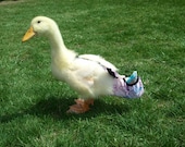 Intermediate Diaper Grow-With-Me Harness for pet Ducks, Chickens, and Geese