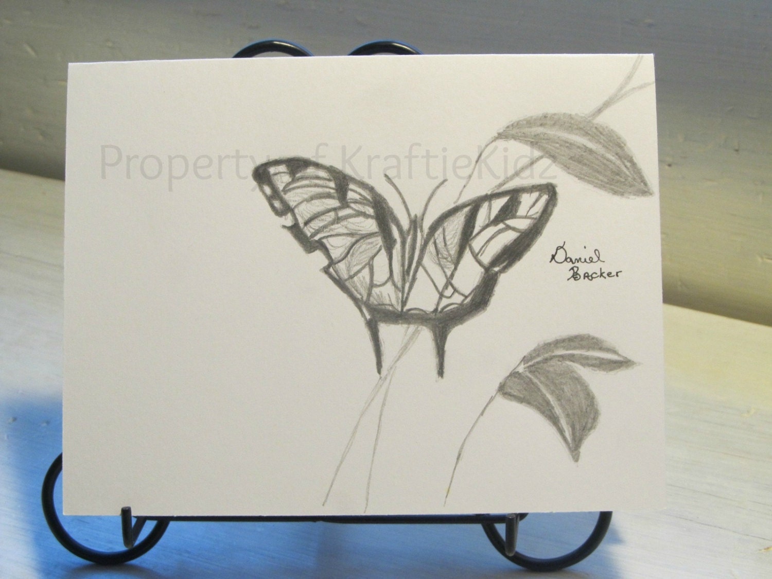 Handmade, Blank, Black and White Butterfly Card, Graphite Pencil Drawing
