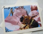 Photo Card Bumblebee Enjoying A Peach Blossom