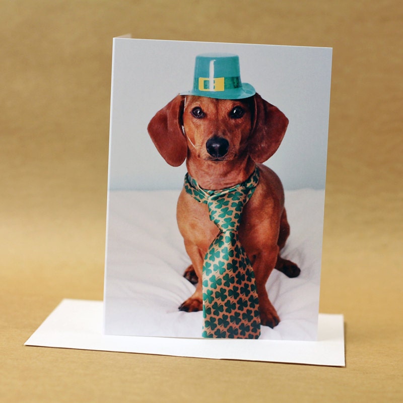 St Patrick's Day Card // Dachshund in Green Tie // Funny Dog Greeting