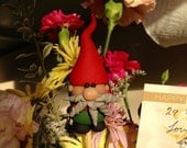 Gnome Plant Decoration/ Garden Gnome 