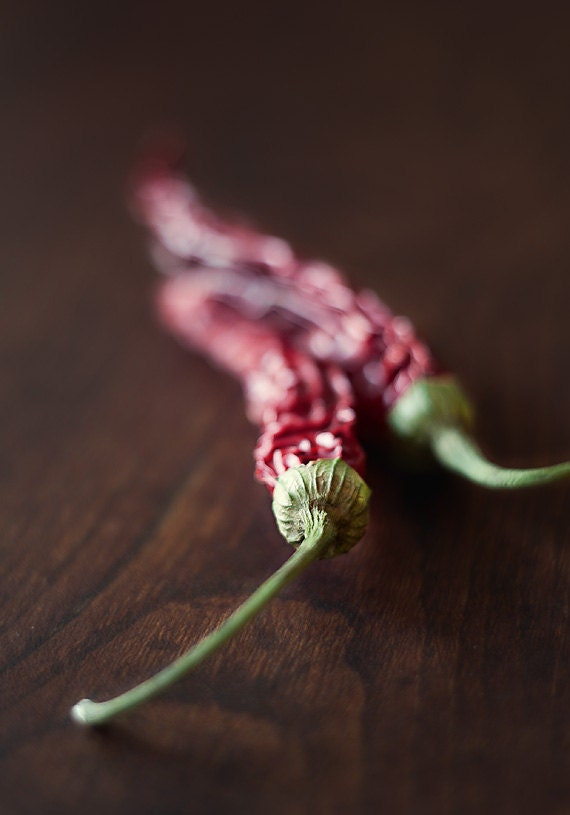 Chili Peppers Photography 8x12, kitchen decor, wall art, kitchen wall decor, peppers, paprica, still life photography,  red brown green