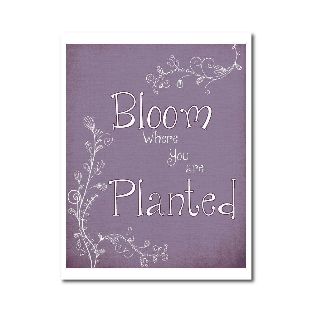 Digital Art Print - Bloom Where you are Planted - Inspirational Quote Nursery Wall Art Home Decor Purple White Floral Wall Hanging 8x10
