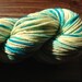 Sand and Surf - Choptank - Worsted Weight Superwash Merino Wool