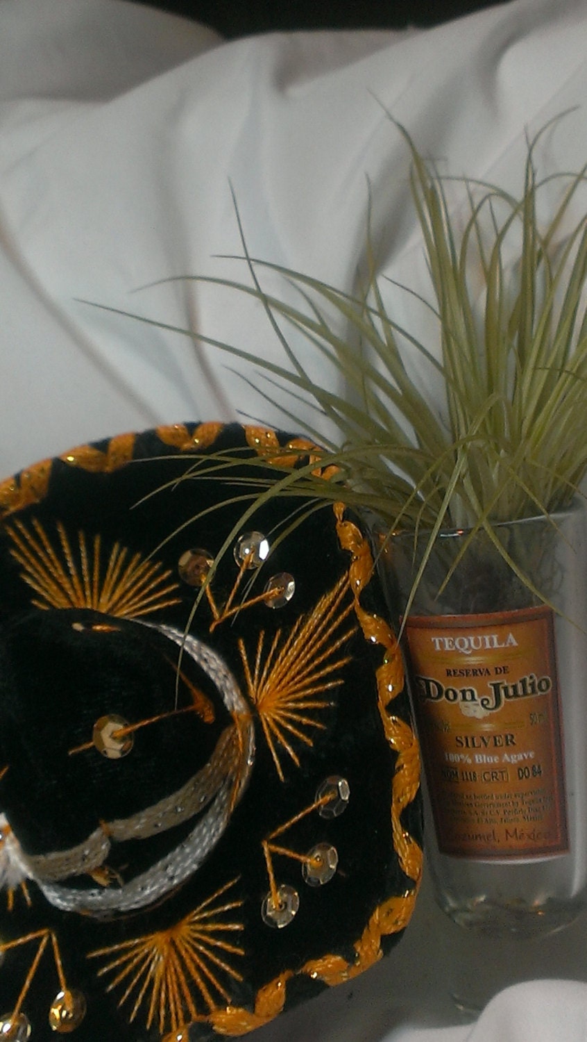 Real Mexican Mini Sombraro A Don Julio Tequila Shoot Glass With A Fla Air Plant Inside.Too Cool...