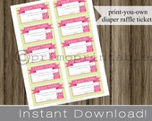 Owl Theme Baby Shower Diaper Raffle Tickets pink girl INSTANT DOWNLOAD diy digital printable file print your own Il_170x135