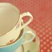 Preparations:  8x10 Fine Art Photography Print