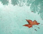 Nature Photography - 8x10 Fine Art Print, Floating Autumn Leaf Photo, Orange Leaf, Green Blue Water, Leaf Photography - Wall Art, Home Decor