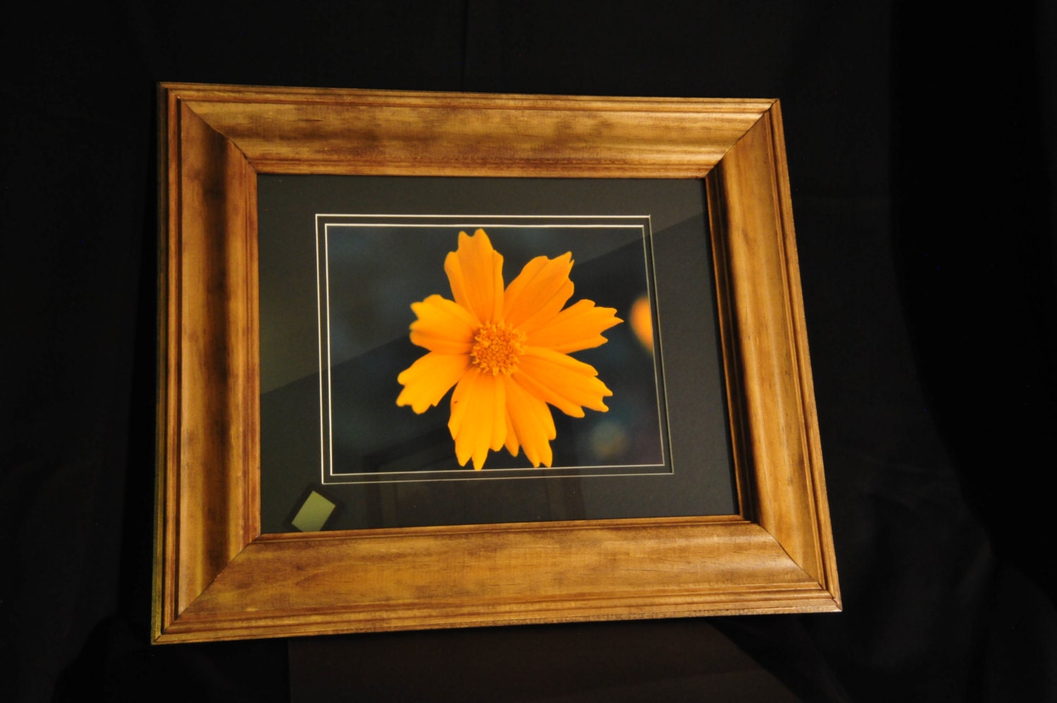 Picture and frame of Yellow Flower. Poplar wood stained and varnished 11x14 Item 0045