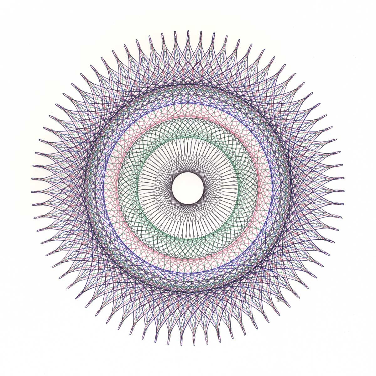 Intricate Original Ink Drawing Fibonacci sequence Abstract Looping Circle Lace Like Flower 15"x20"