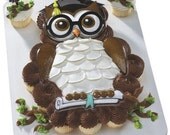 Graduation Owl Cake Kit Il_170x135