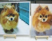 Custom Pet Portraits - Original Oil Painting Art - Pomeranian Dog - Size 6" x 8"