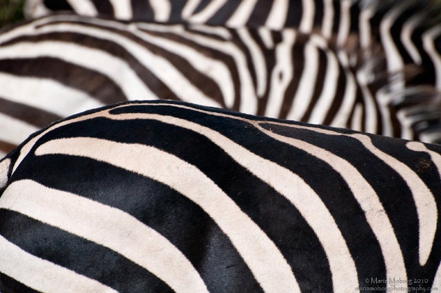 Stripes Photographic Print 8x12inches (19x29cm)