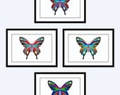 Buy 3- get 1 FREE, Butterfly SET OF 4 - 5X7 Prints, Modern Art, Wall Art for Bedroom, Family Room, Home Decor, Childrens Room, Fine Art