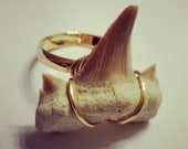 Moon Metal Shark Tooth Ring