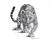 On the Leopard's Path - Print