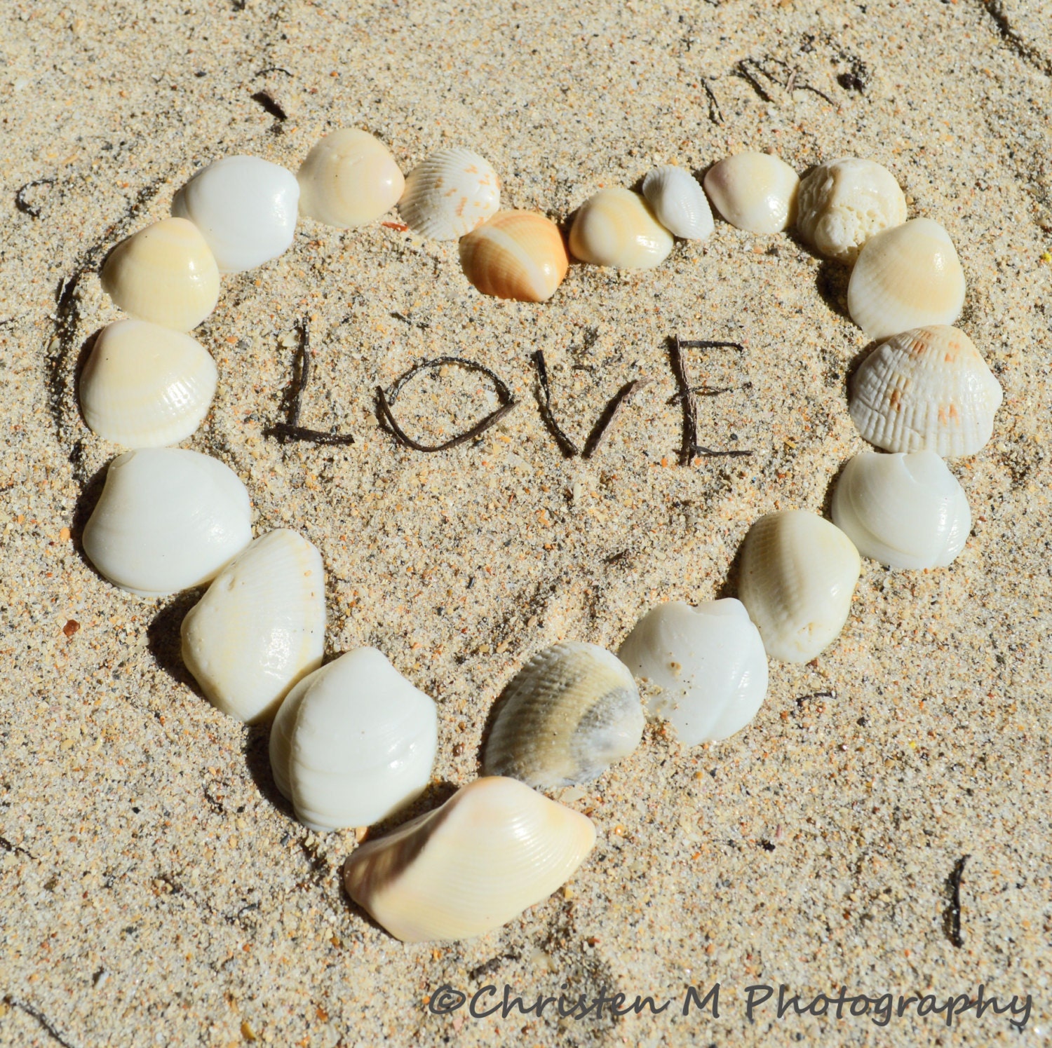 Shells in Love Photograph- 5x5 print