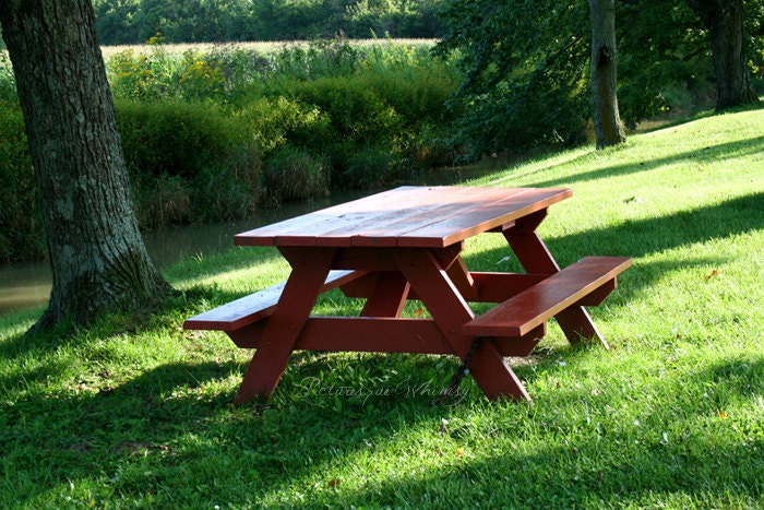 Wooden Picnic Table, Summer, Photography, Woodland, Earthy, Nature, Fine Art Print, Home Decor, Wall Art, 6x9