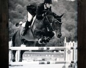 Black White, Jumping Horse, Horse Photography, Horse Art, 20 x 30"