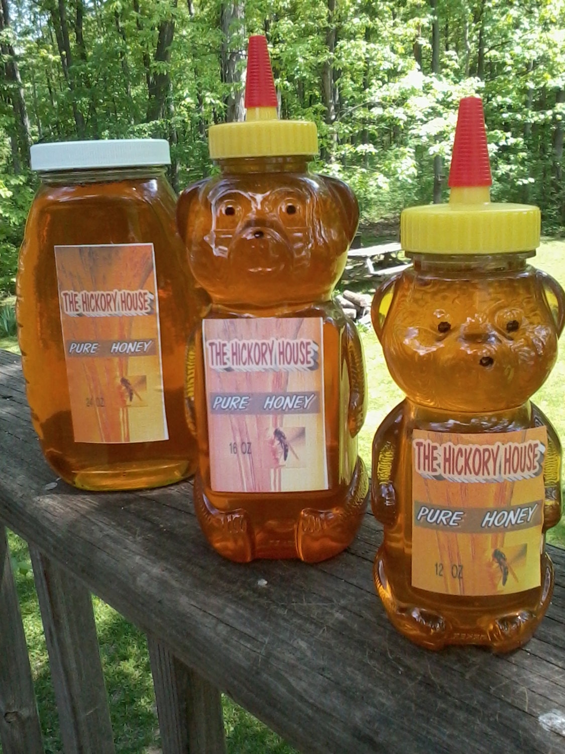Pure Hickory House Honey 12 oz