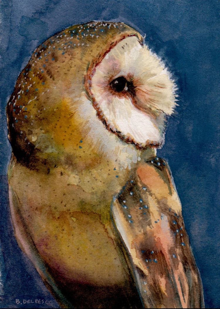 ACEO ATC Tyto Alba Barn Owl Bird in Profile Watercolor Print DelPesco