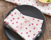 Watermelon Stars Cloth Napkin, Set of 6, Trimmed in Gray