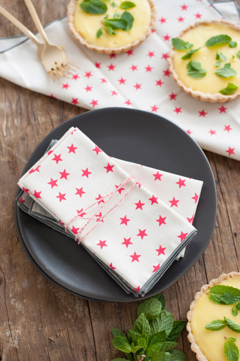 Watermelon Stars Cloth Napkin, Set of 6, Trimmed in Gray
