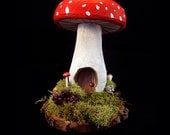 Redcap Mushroom / Toadstool Fairy House