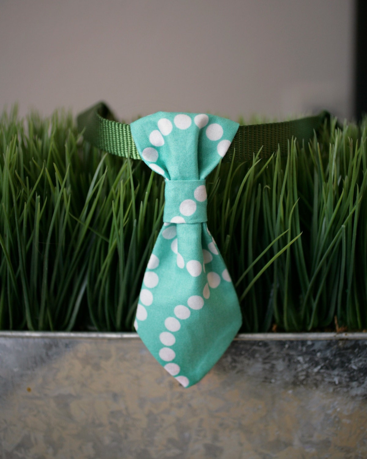 Dog Tie - Teal Pearls Print