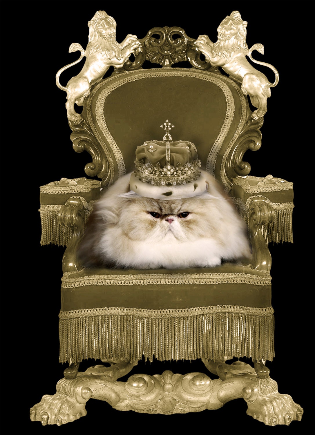 Persian Queen 3 Pack, Birthday Card, Blank Cards, Greeting Cards,  Matching envelopes included