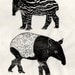 Tapir and Baby Linocut