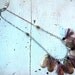 Necklace - Hunting and Fishing Series