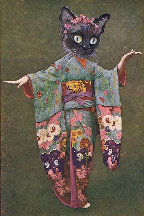 siamese cat geisha