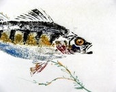 Yellow Perch Original GYOTAKU Fish Art Rubbing Lake Decor