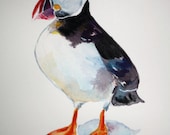 Atlantic Puffin in art - 5x7 print of original watercolour painting